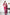 Rosella Bloom Saree – Grace in Every Petal