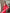 Scarlet Red Banarasi Saree with Zari Buttas and Floral Border