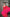 Rosara Pink Pure Georgette Saree