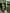 Zyra Yellow-Blue Ombre Georgette Saree