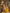 Yellow Bridal Kanchipuram Silk Saree with Brown Zari Pallu