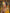 Yellow Bridal Kanchipuram Silk Saree with Brown Zari Pallu