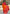 Turquoise Orange Banarasi Silk Saree – Festive Radiance in Every Drape