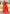 Turquoise Orange Banarasi Silk Saree – Festive Radiance in Every Drape