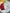 Suhani White Chiffon Saree with Red Bandhej Blouse