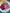 Suhani Pink Chiffon Saree with Red Bandhej Blouse