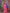 Sharvika Pink & Purple Banarasi Leaf Woven Silk Saree