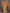 Sharvika Orange & Green Banarasi Leaf Woven Silk Saree