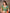 Sharvika Orange & Green Banarasi Leaf Woven Silk Saree