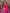 Sharvika Dark Pink & Purple Banarasi Leaf Woven Silk Saree