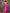 Sharvika Pink & Purple Banarasi Leaf Woven Silk Saree
