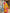 Raveena - Yellow Soft Banarasi Silk Saree with Jacquard Work and Rich Pink Blouse