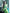 Valiba Beautiful Lite Green & Jacquard Work Silk Designer Sarees