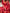 Carrot Red Premium Soft Banarasi Silk Saree