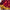 Meenal - Maroon Soft Banarasi Silk Saree with Jacquard Weaving