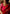 Saanchi - Red Soft Silk Saree with Golden Butta Work and Self-Woven Border