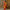 Pranita – Yellow Red Banarasi Silk Saree