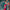 Red With Green Broder Combition Soft Silk Finish Saree Weaving