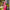 Anaya – Pink Soft Silk Saree with Jacquard Weaving Border