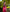 Anaya – Pink Soft Silk Saree with Jacquard Weaving Border