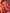 Sharvika – Ranimor Banarasi Silk Saree with Pink Zari Weaving Border