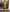 Riya - Yellow Soft Banarasi Silk Saree with Black Jacquard Blouse