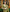 Padmika - Green Soft Silk Saree with Jacquard Border