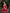 Samaira - Red Soft Silk Saree with Subtle Jacquard and Matching Blouse