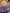 Ranjana - Royal Blue Kanjivaram Silk Saree with Jacquard Weaving