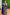 Ranjana - Royal Blue Kanjivaram Silk Saree with Jacquard Weaving