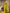 Jamsa Yellow Banarasi Silk Saree
