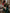 The Silk Beautiful Dark Green & Golden Jacquard Work Silk Designer Sarees