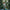 Rama Green Color Banarasi Soft Silk Saree