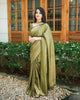Light Green Banarsi Saree & Blouse Golden Zari Weaving