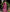Susurrous Pink Soft Silk Saree