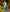 Aqua Blue luxurious Banarasi Weaves soft Silk Saree