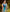 Aqua Blue luxurious Banarasi Weaves soft Silk Saree
