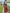 Blissful Dark Green Soft Silk Saree