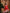 Aaru Red Soft Banarasi Silk Saree