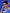 Royal Blue Banarasi Soft Silk Saree