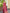 French Rose Pink Woven Lichi Silk Saree