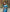 Pehnava Multy Color Woven Art Silk Saree