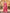 Chatoyant Dark Pink Soft Silk Saree