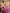 Preferable Wine Soft Silk Saree