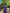 Surreptitious Blue Soft Banarasi Silk Saree