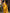Ebullience Yellow Soft Silk Saree