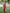 Gossamer Maroon Soft Silk Saree