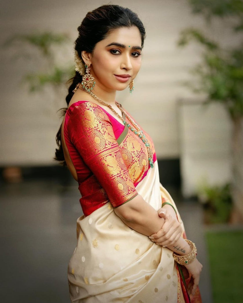 Most Stunning Beige Soft Silk Saree