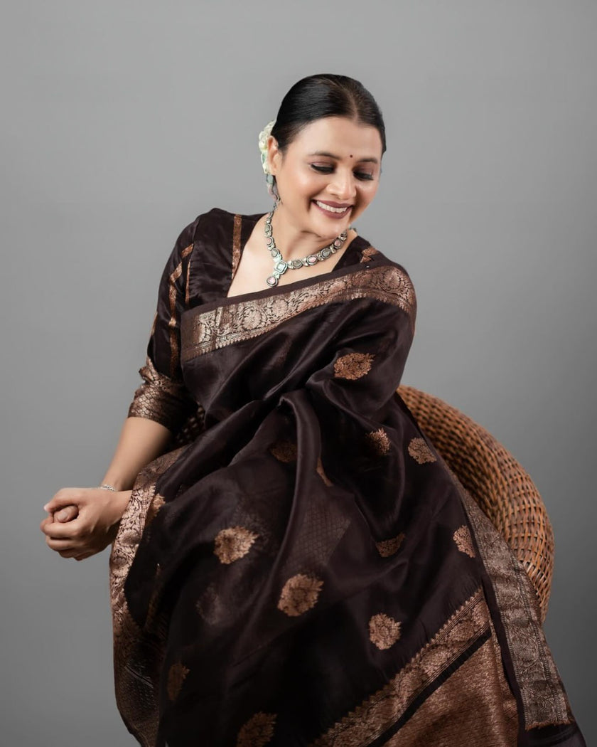 Ravishing Black Soft Silk Saree