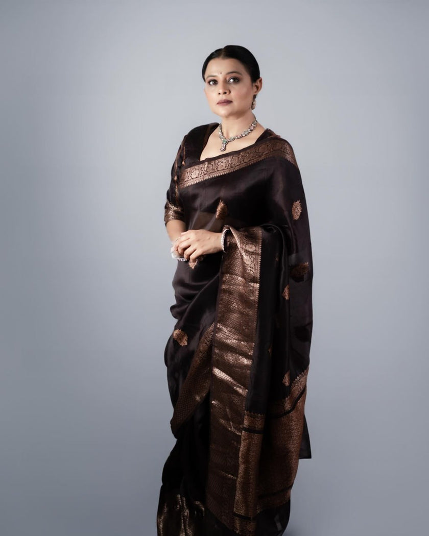 Ravishing Black Soft Silk Saree